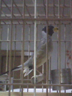 IMG0030A.jpg