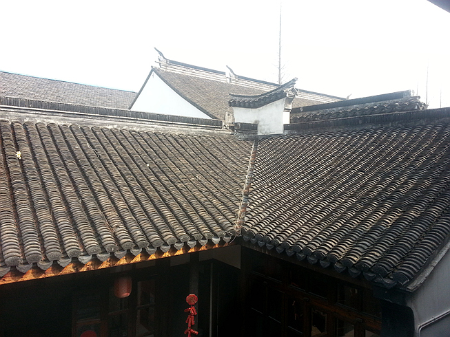 20150301_102312.jpg