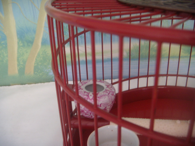 DSCN3193.JPG