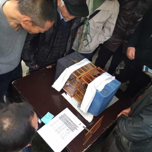 QQ图片20150413213639.jpg
