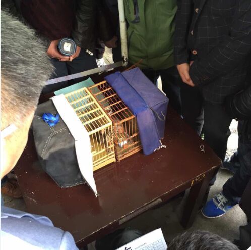 QQ图片20150413213917.jpg
