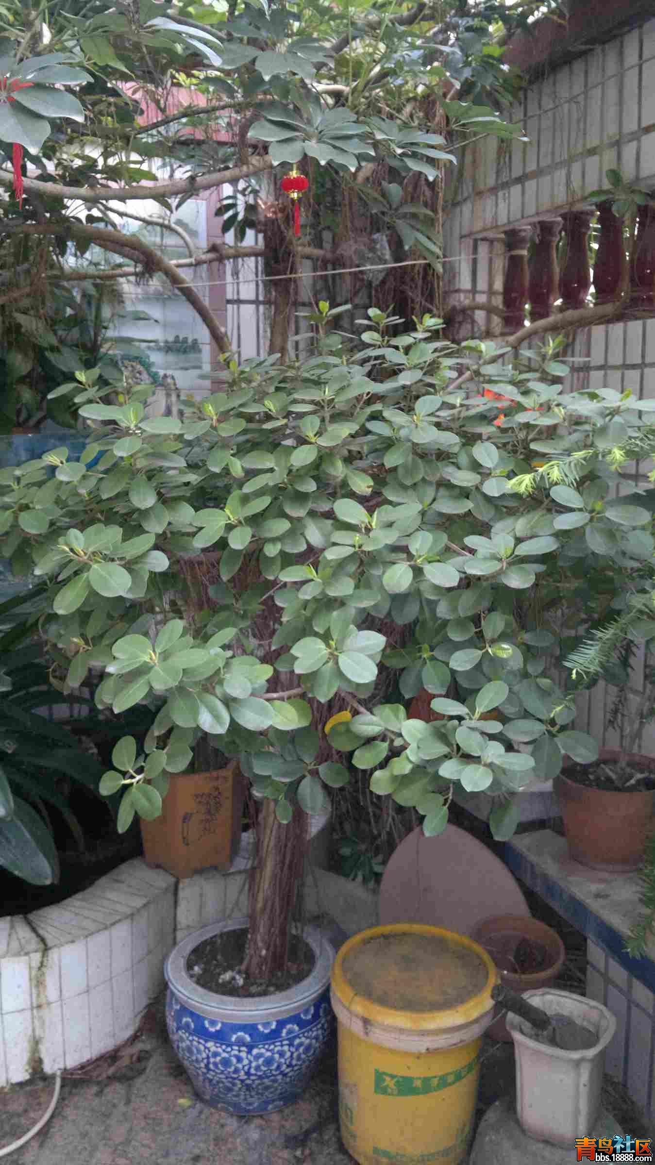 20150405548.jpg