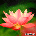 20090324193716.gif