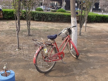 DSCF5919.JPG