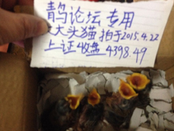 QQ图片20150423003544.jpg