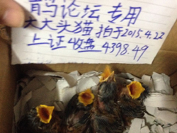 QQ图片20150423003921.jpg