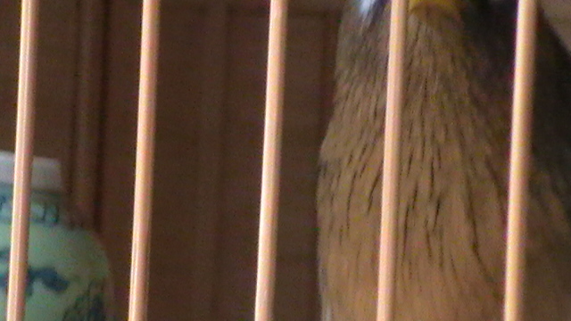 S1280023.JPG