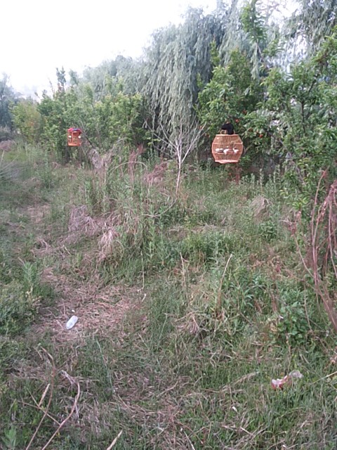 20150408_072951.jpg