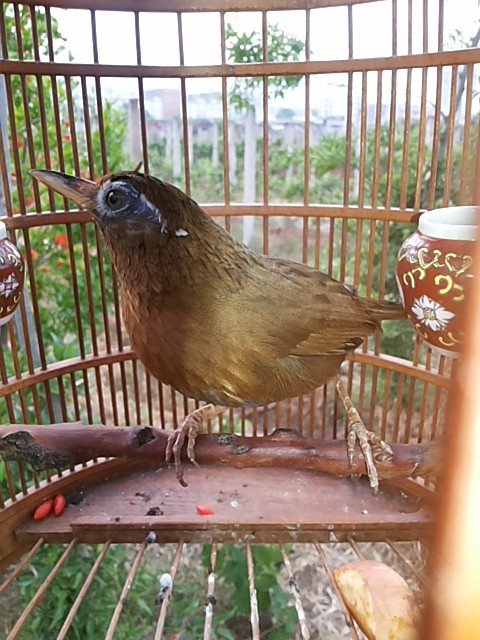 20150410_182106.jpg