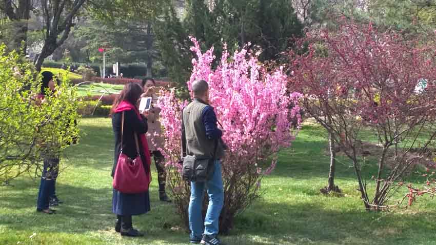 WP_20150405_001.jpg