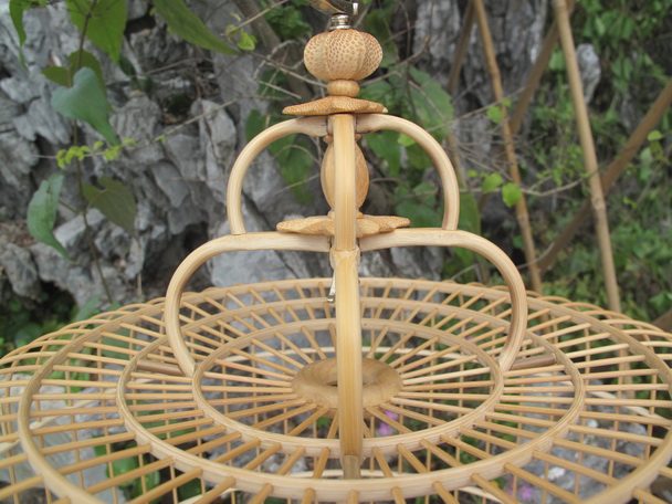 IMG_1991_调整大小.JPG