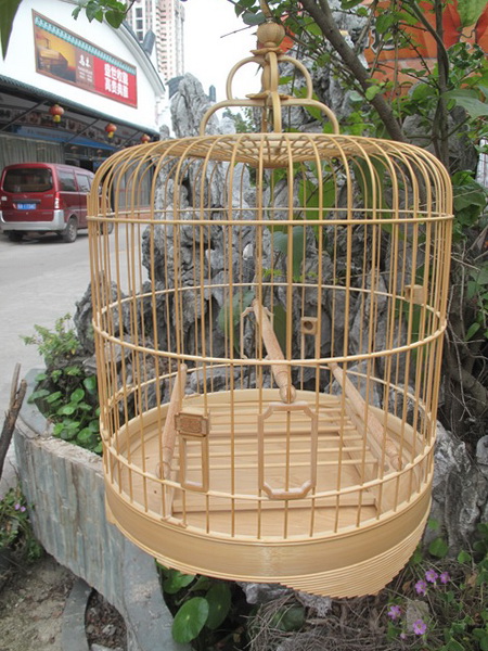 IMG_1989_调整大小.JPG