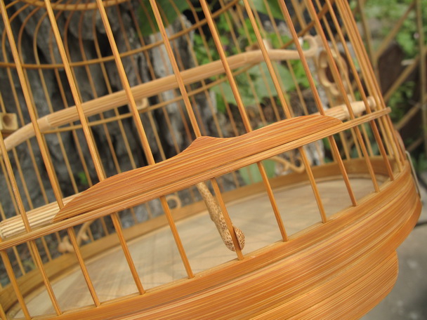 IMG_2080_调整大小.JPG