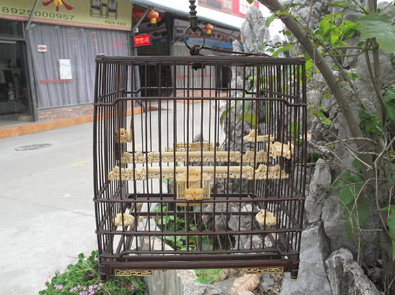 IMG_1934_调整大小.JPG