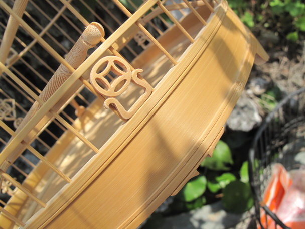 IMG_2018_调整大小.JPG