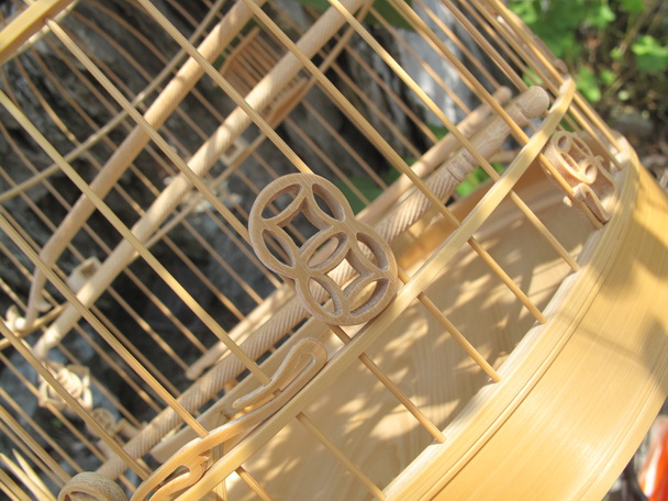 IMG_2016_调整大小.JPG