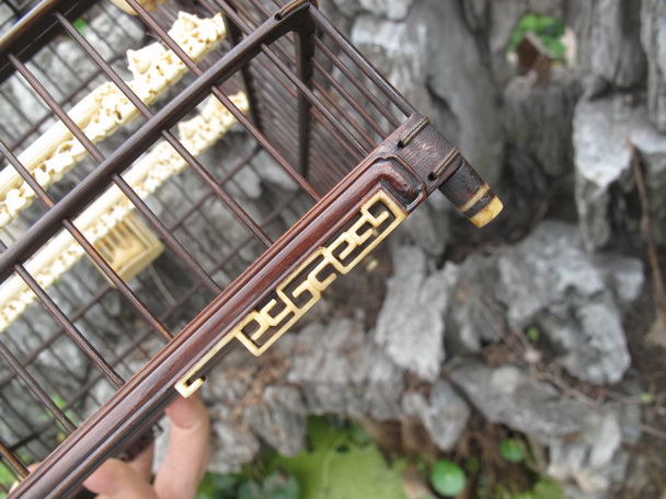 IMG_1942_调整大小.JPG