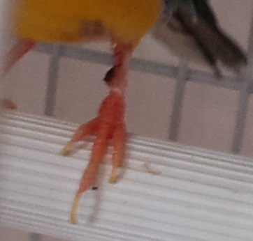 20150421_080620.jpg
