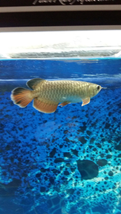 20150407_195359.jpg