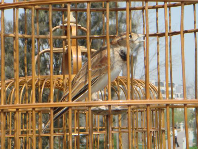 调整大小 DSC07513.JPG