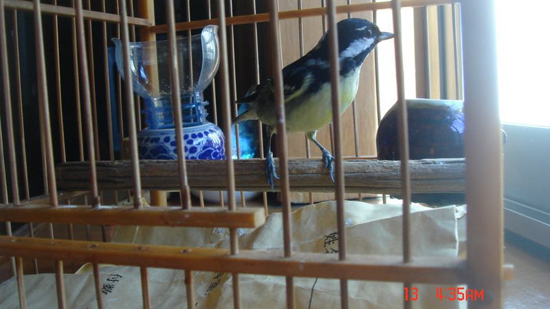 DSC00410.JPG