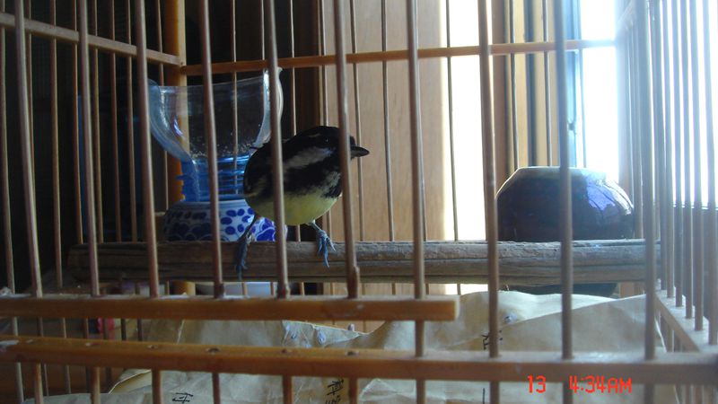 DSC00405.JPG