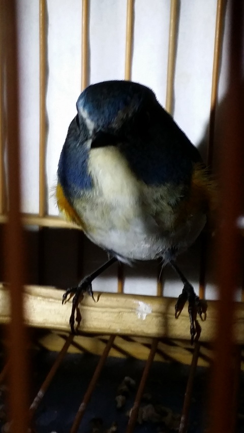 20150415_202718.jpg