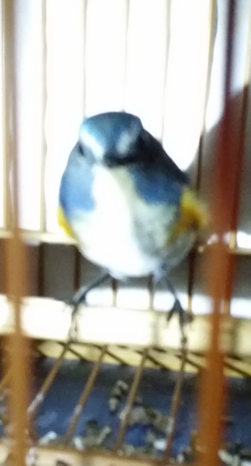 20150415_202715.jpg