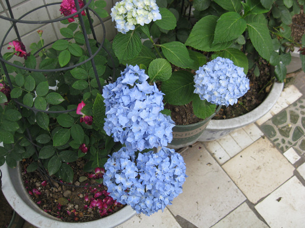IMG_0084_副本.jpg