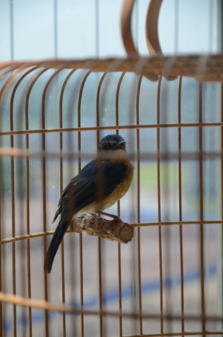 DSC_0871.JPG