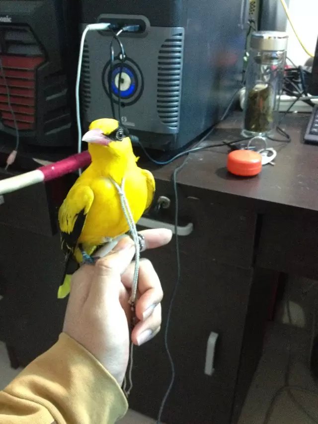 5555555555555555555psbCASYQVON.jpg