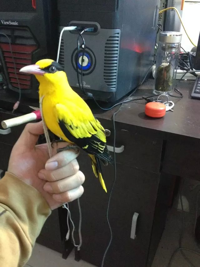 666666666666666666666666psbCAY6FDT3.jpg