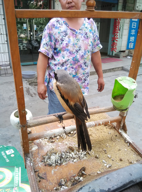 IMG_20150523_160216_副本.jpg