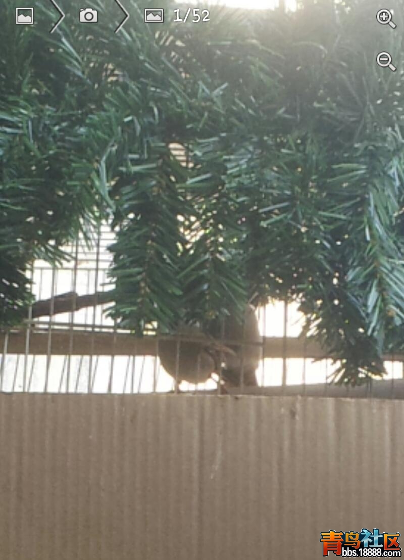 SC20150513-194042-1.jpg