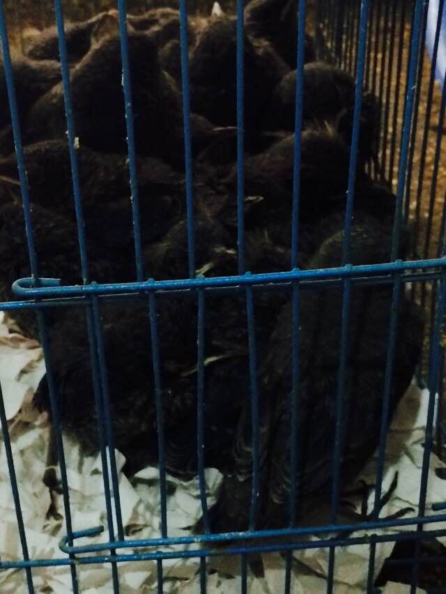 QQ图片20150511072945.jpg