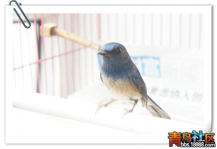 DSC09079_副本jklk.jpg