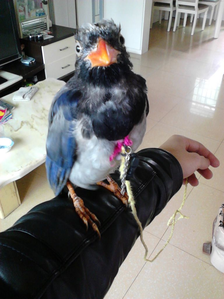 2012-10-13 14.42.31.jpg