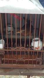 照片 001.jpg