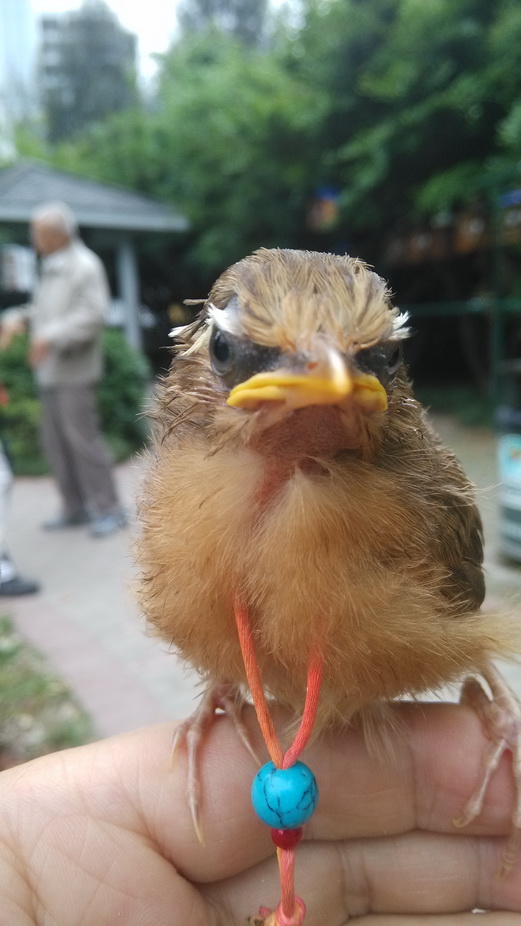 IMG_20150523_075736_调整大小.jpg