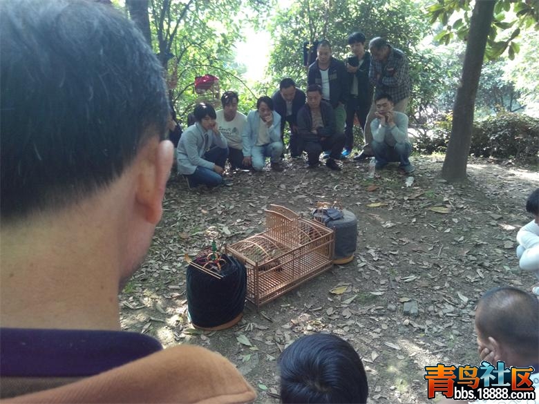 QQ图片20150501184936.jpg