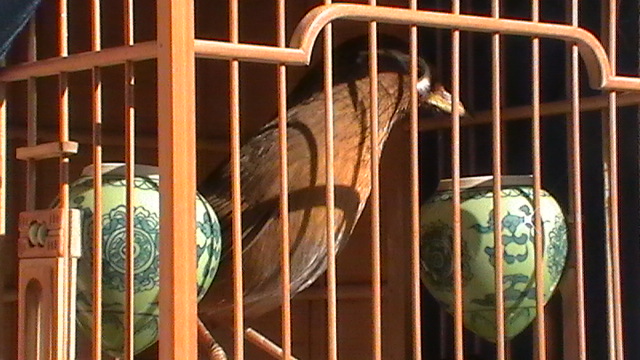 S1230024.JPG