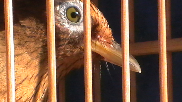 S1230033.JPG