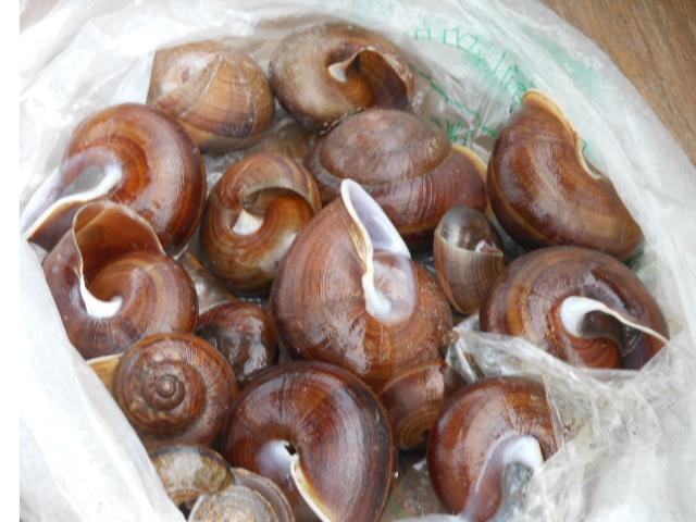 照片 035.jpg
