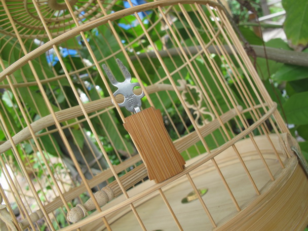 IMG_2346_调整大小.JPG