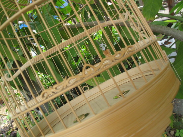 IMG_2342_调整大小.JPG
