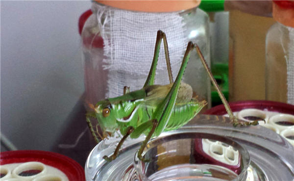 20150505_173550_mh1430819542584_副本1.jpg