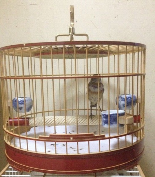 QQ图片20150528233546.jpg