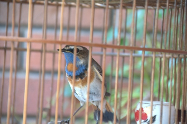 DSC_0696.jpg