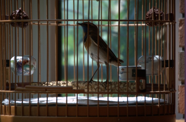 DSC_0727_副本.jpg