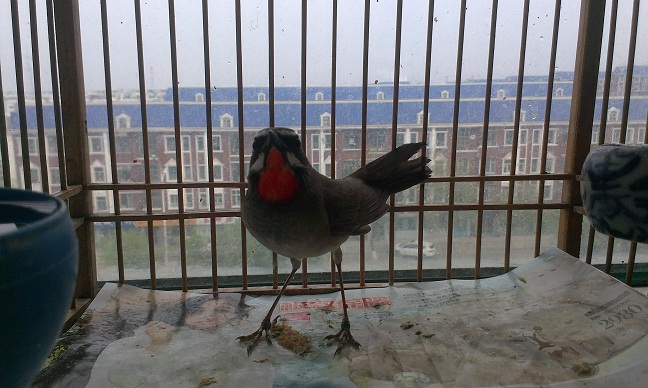 IMAG0010.jpg